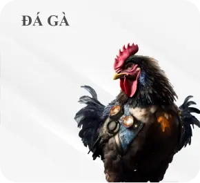 sảnh đá gà